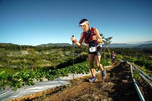 BIB: 4517
                            <button type="button" onclick="openModal(19117455)" class="btn btn-primary btn-sm float-right btn-popup" data-toggle="modal" data-target=".modal-high-quality">
                        <i class="fas fa-shopping-cart"></i> Add to Cart
                    </button>
                                            <button type="button" onclick="isThisMe(19117455, true)" class="btn btn-success btn-sm float-right btn-popup btn-isme hidden" data-toggle="tooltip" data-placement="bottom" title="นี่คือรูปของคุณใช่ไหม คลิกที่นี่เพื่อเอาเข้าอัลบั้ม">
                        <i class="fas fa-plus"></i> Add to album
                    </button>
                    <button type="button" onclick="isThisMe(19117455, false)" class="btn btn-warning btn-sm float-right btn-popup btn-isnotme hidden">
                        <i class="fas fa-ban"></i> Remove from album
                    </button>